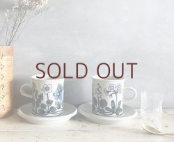 画像2: **Flora C&S  **(NEW) （¥17,000＋税）