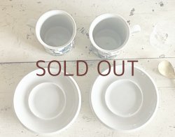 画像3: **Flora C&S  **(NEW) （¥17,000＋税）