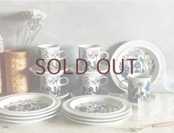 画像4: **Flora C&S  **(NEW) （¥17,000＋税）