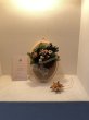画像6: 花音 さん 作品 クリスマス リース　花標本　(Box付き) (¥3,300＋税) (6)