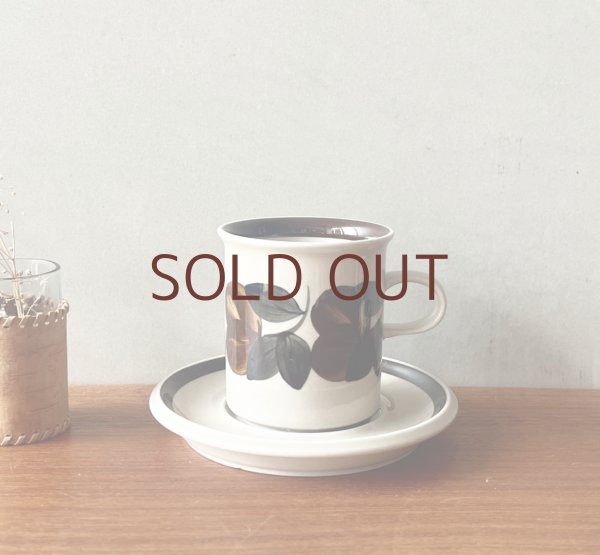 画像1: **Ruija C&S   (1)